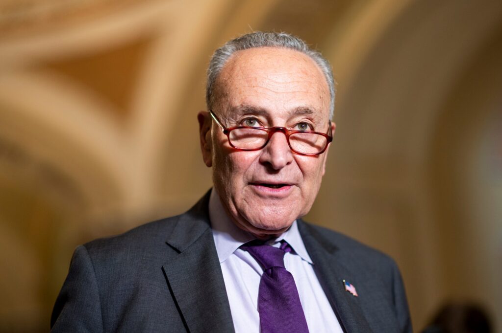 Schumer Proposes Rule Change For Voting Rights Laws - Newshacker